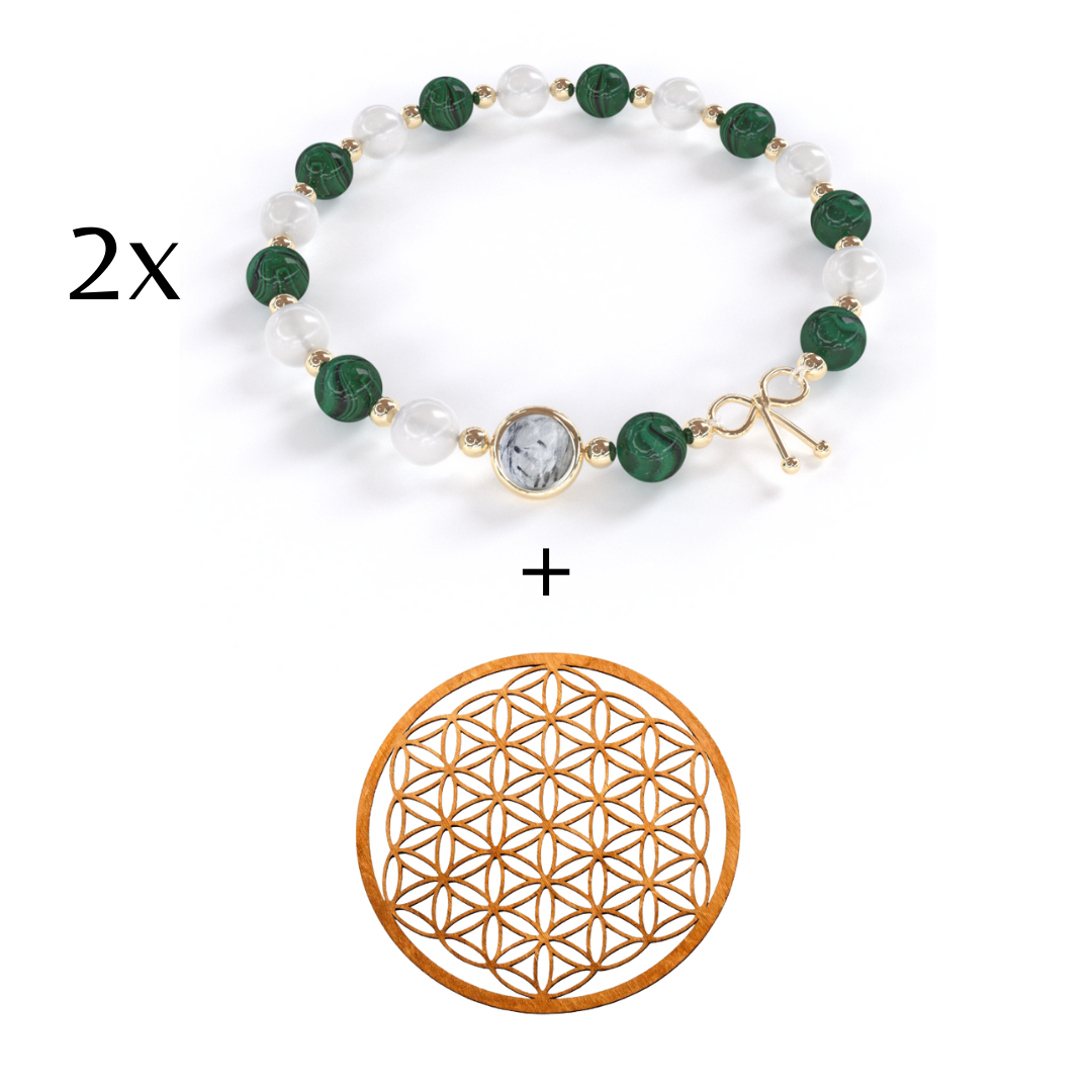 Pack Anti-Douleurs + Plaque de rechargement