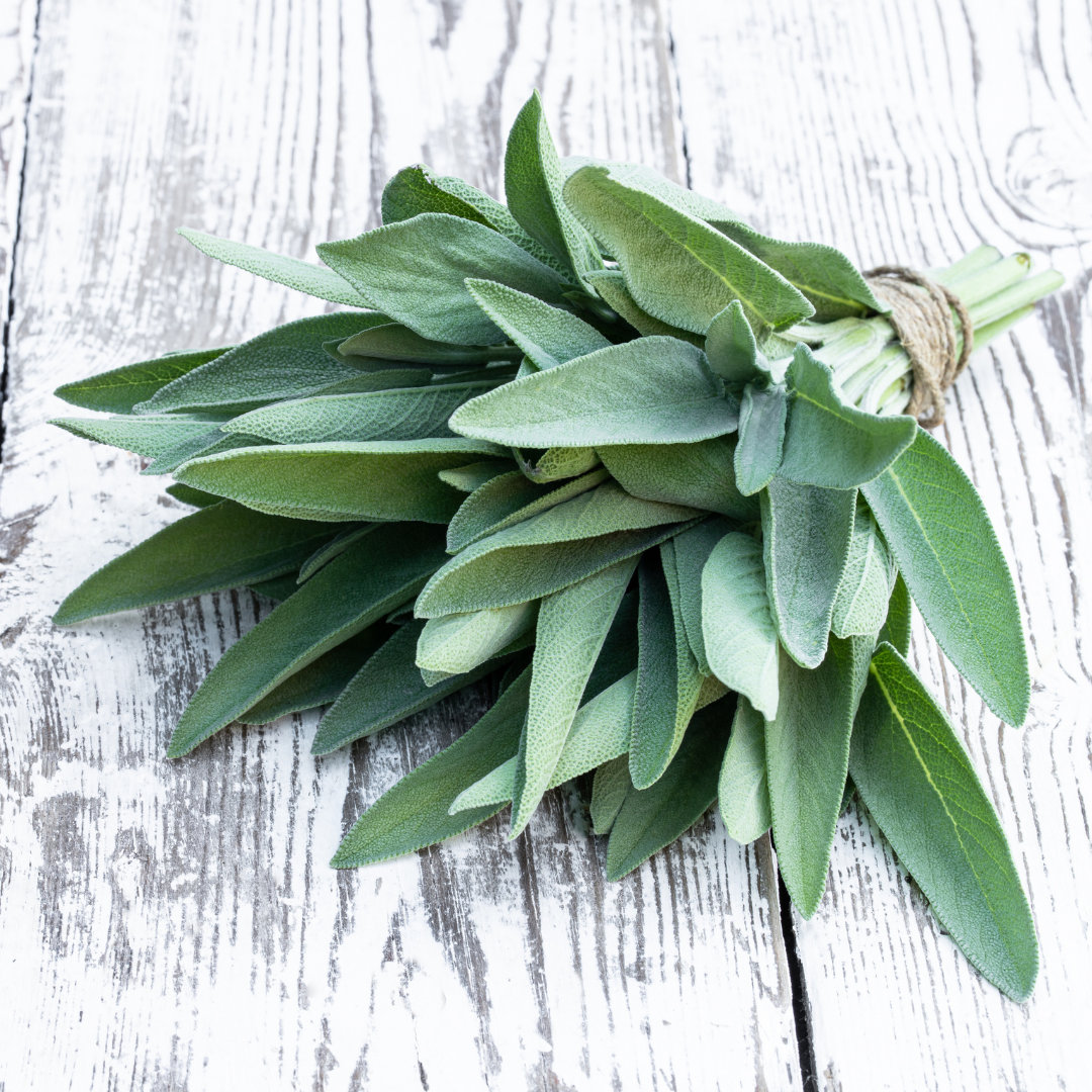 un petit bouquet de sauge blanche fraiche entouré d'une ficelle pour le contenir